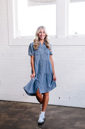 Brinkerhoff Denim Dress