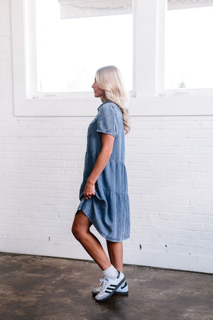 Brinkerhoff Denim Dress