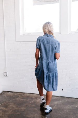 Brinkerhoff Denim Dress