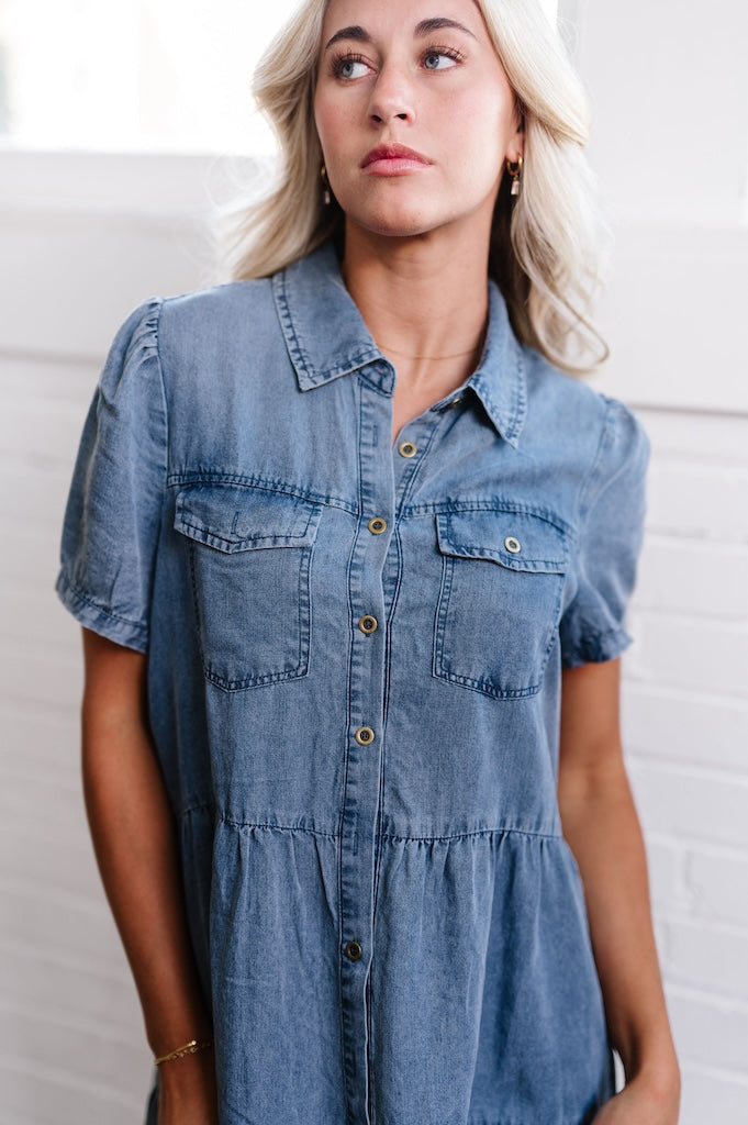 Brinkerhoff Denim Dress